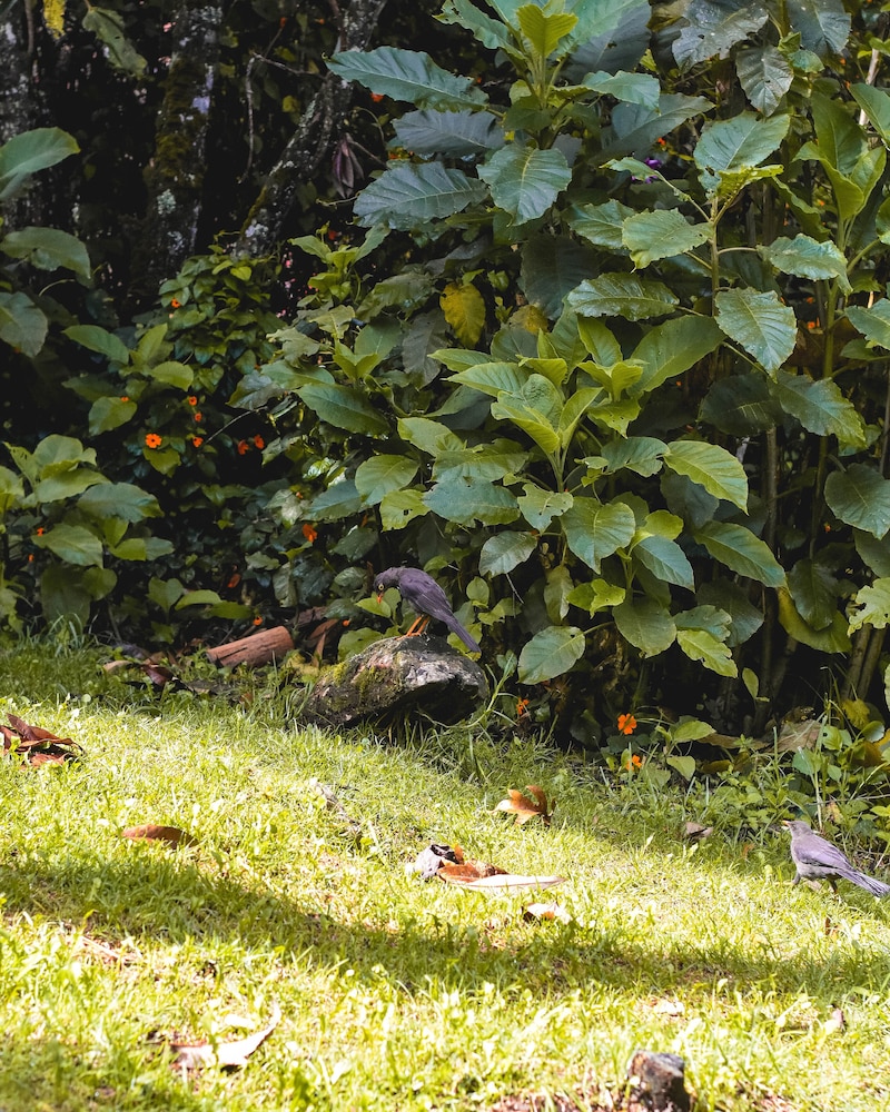 Casa Profunda