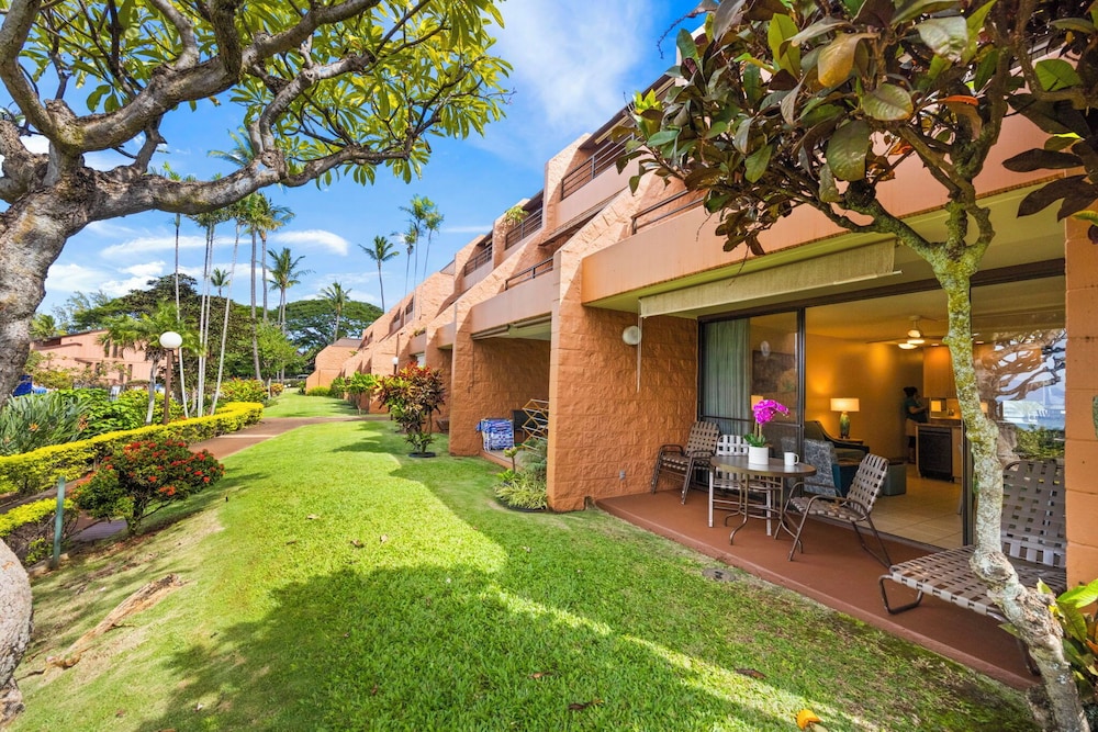 Kuleana Club - 504