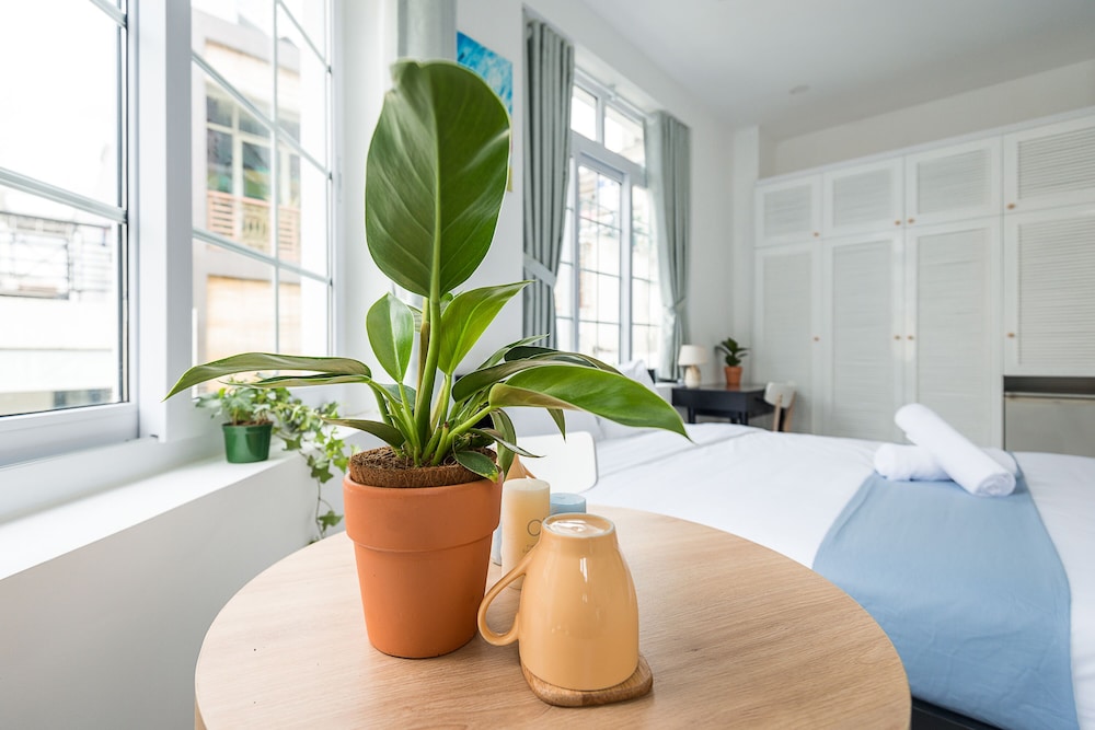 Cozrum Homes May's House