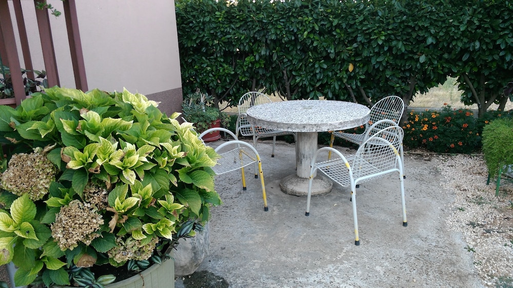 Photo 23