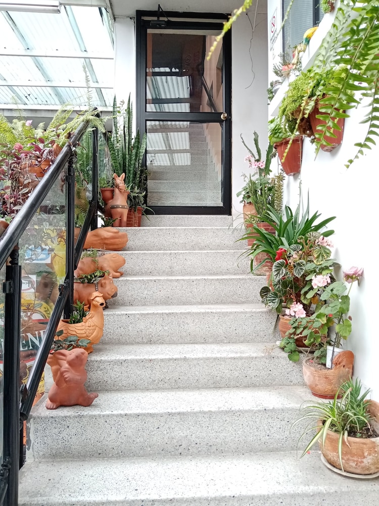 Water Palace Hostal