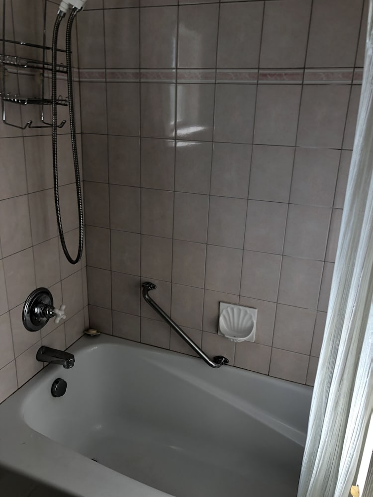 Photo 44