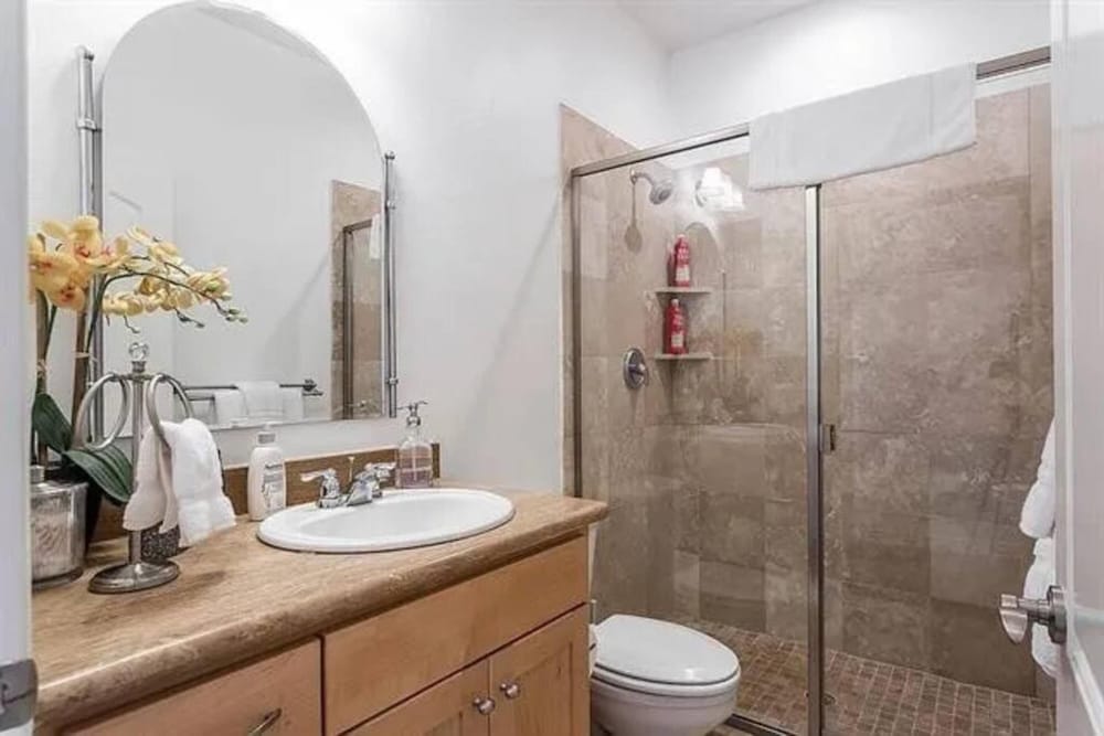 Luxury Home Lake View and Fireplace at Little Elm view 4