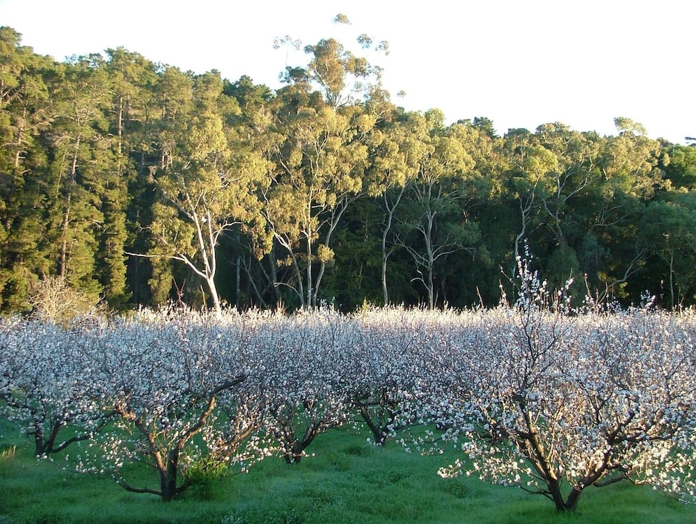 Taralee Orchards