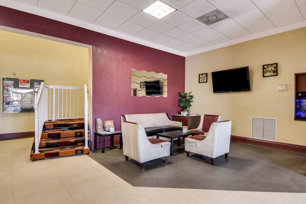 Tampa Vacations - Econo Lodge Busch Gardens - Property Image 45
