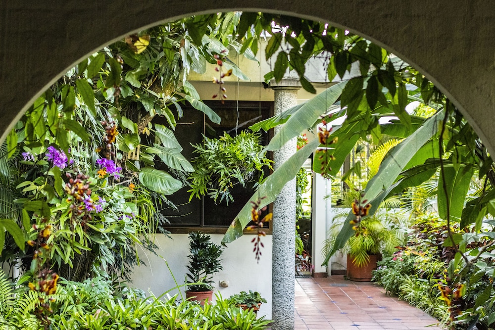 Árbol de Fuego Eco-hotel, a green experience in the city