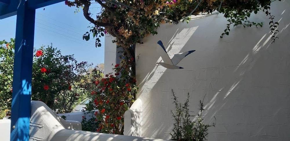 Pelagos Studios