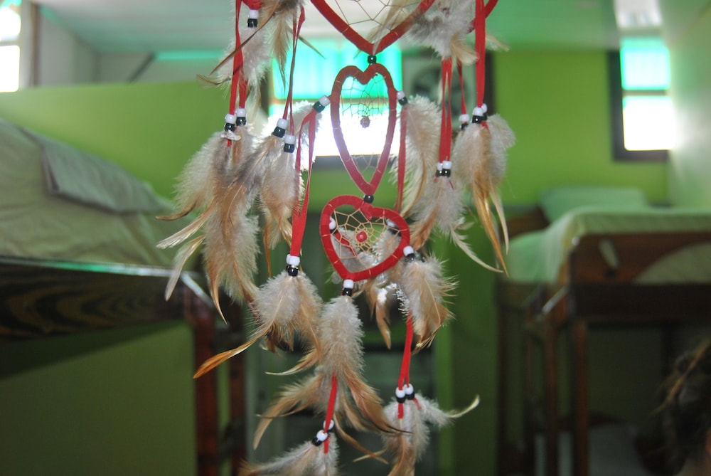 Ecoarthostal - Hostel