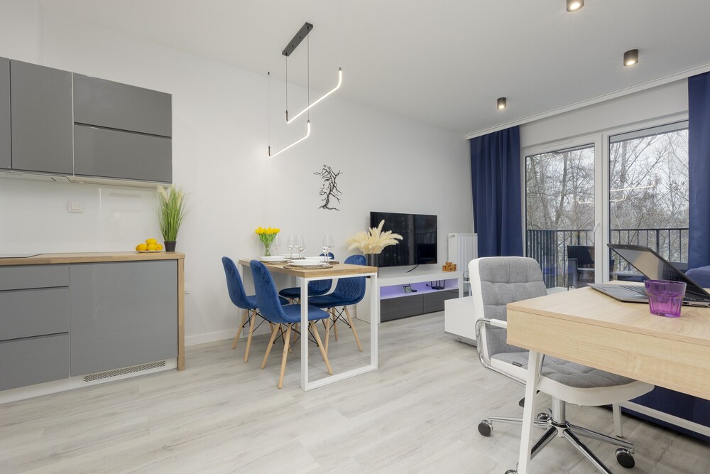 Dark Blue and Grey Apartment by Renters view 2