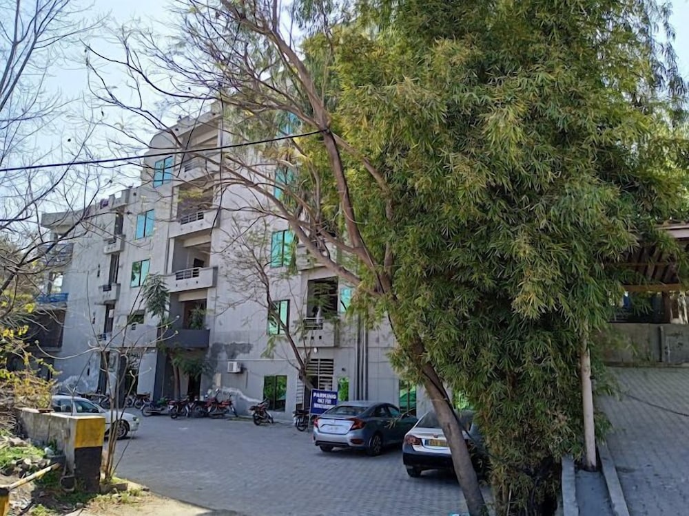 Photo 12