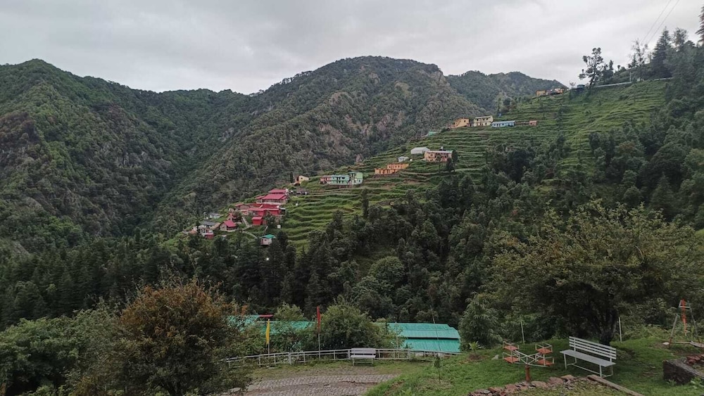 Apple Orchard Resort