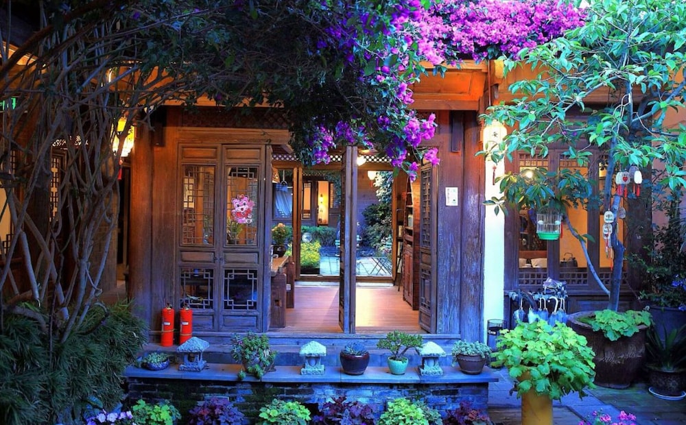 Big Tree Guesthouse