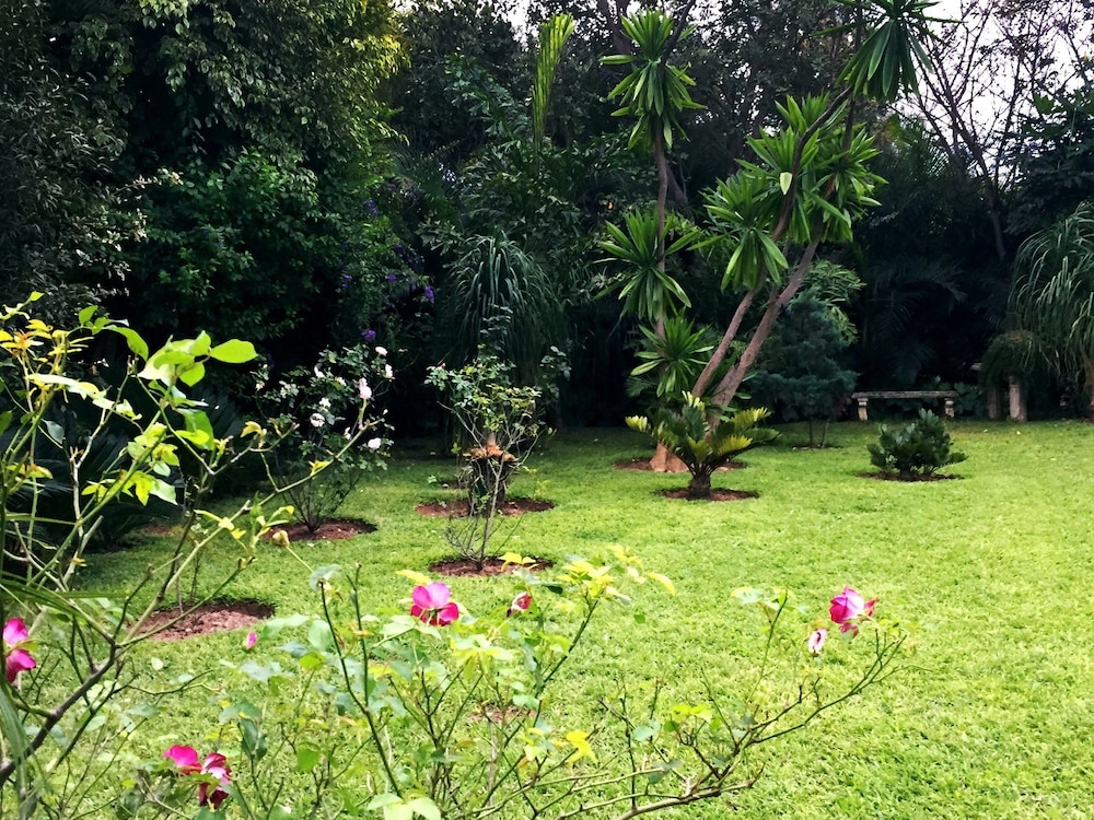 Palmwood Lodge