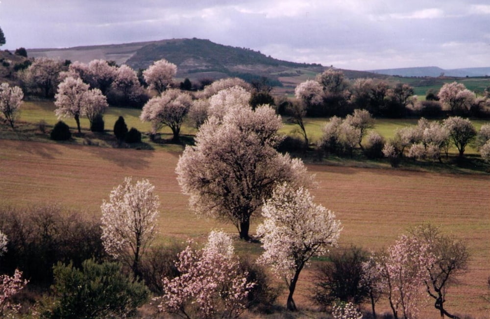 Finca El Cercado
