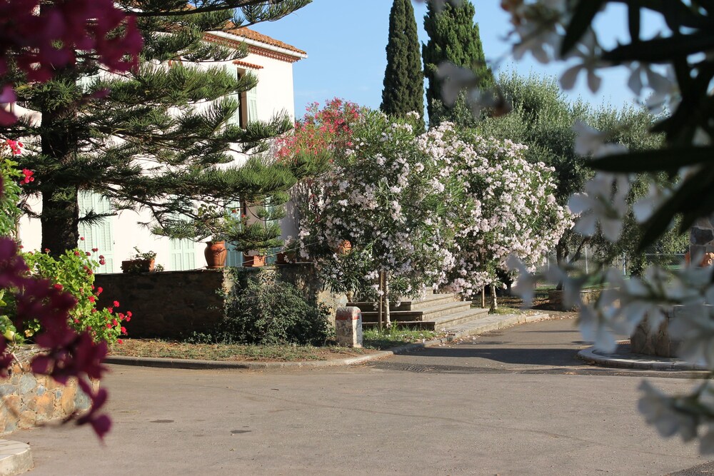 Chambres d'hôtes Le Clos des Oliviers