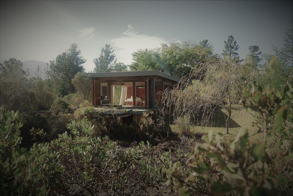 Forest Nature Spa