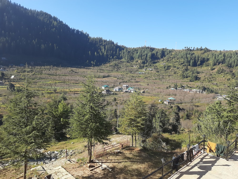 Himalayan Baseraa