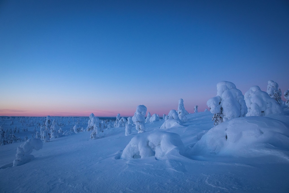 Sielikkö Aurora Log Villas