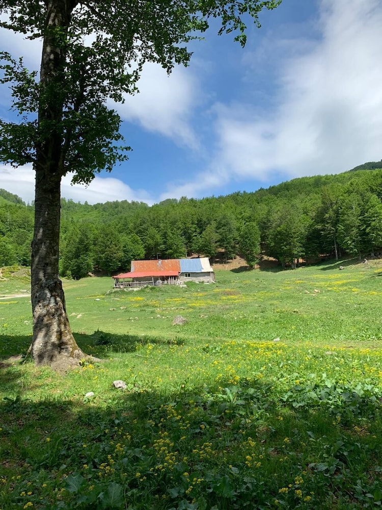 Joen Village