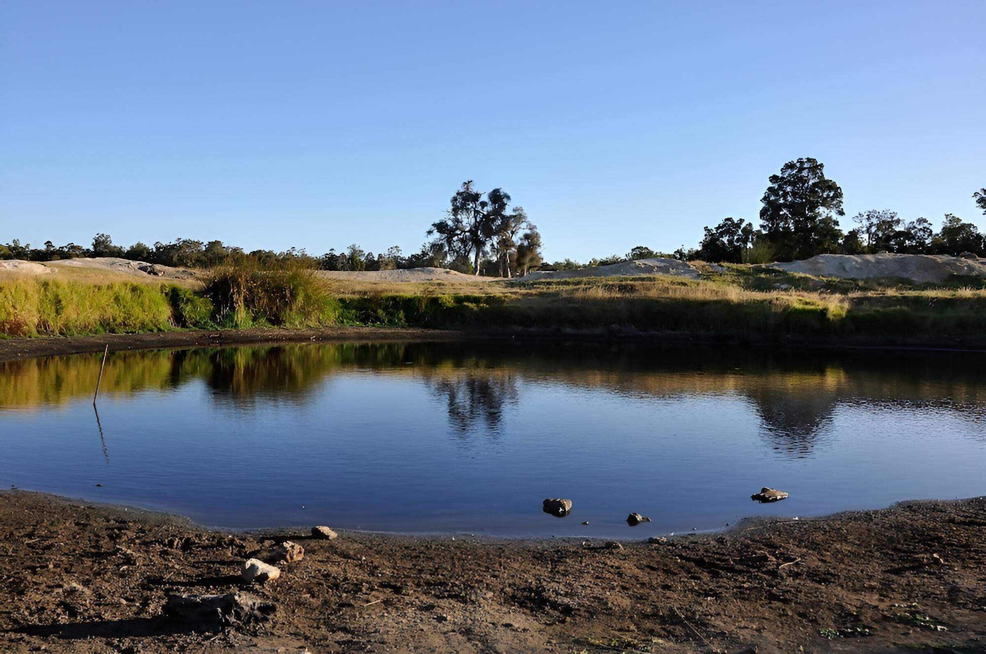 Wilga Farm Stay