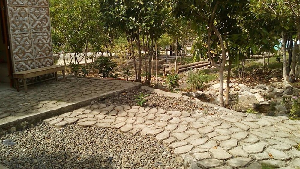 Photo 37
