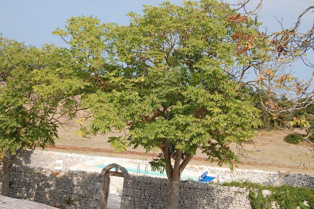 Photo 45