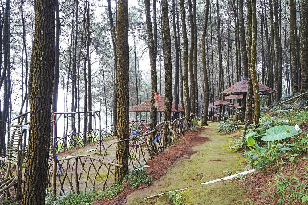 Hotel O Eco Tourism Desa Cipada Bukit Senyum Homestay Syariah view 3