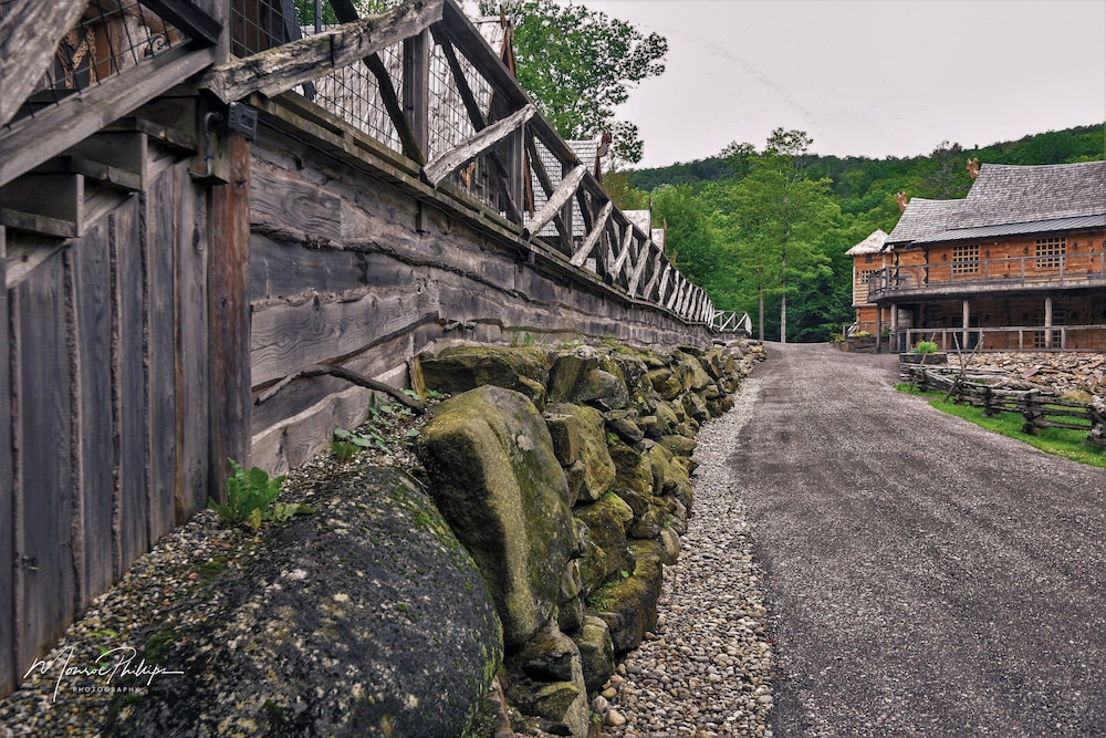 Photo 48
