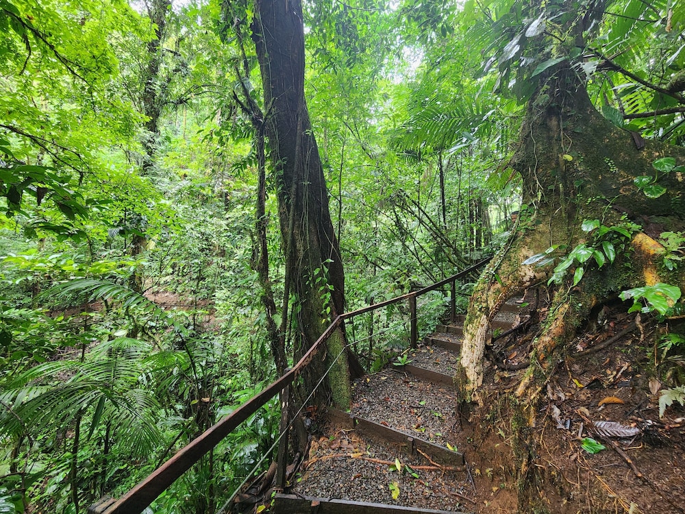Cabañas Caeli, El Colibri, NEW La Fortuna Rainforest Cabin w Panoramic Views