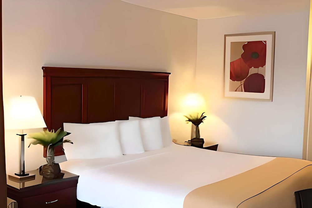 Rodeway Inn Santa Clara El Camino Real 3