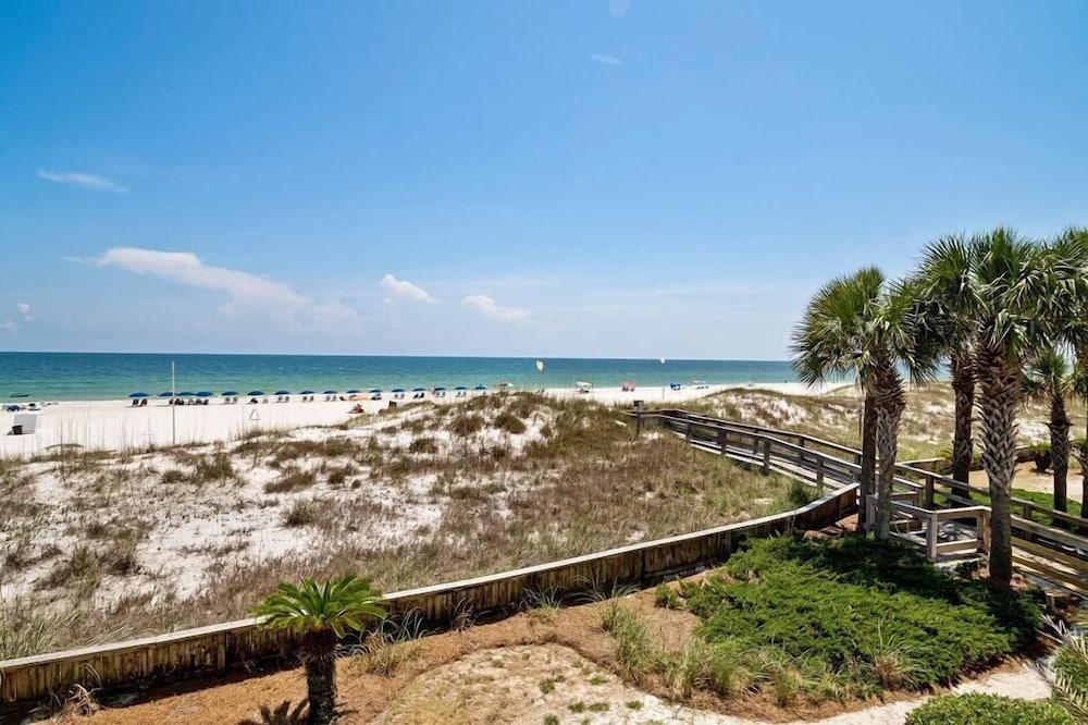 Palm Beach C21
