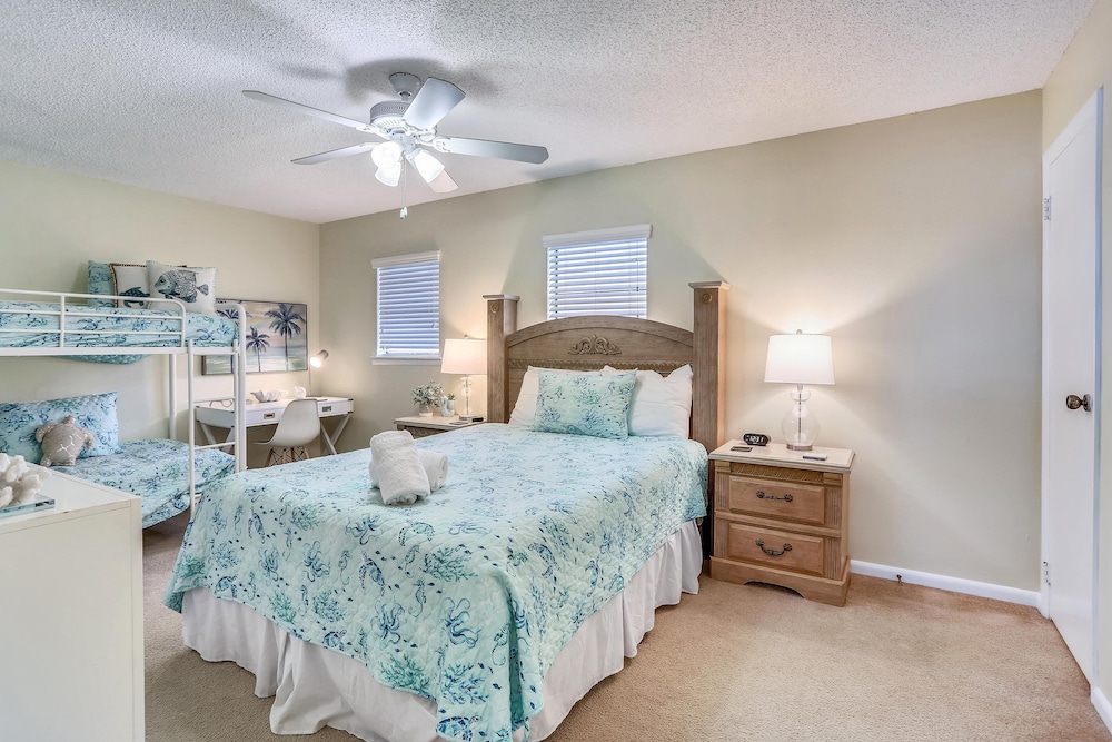 Sea Shell 24