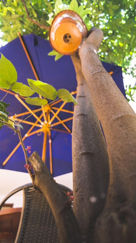 Hotel Boutique Casa Alegre Art Gallery