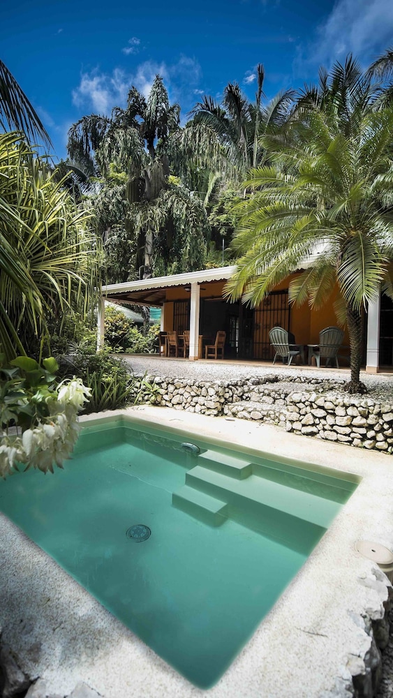 Hotel El Pequeño Gecko Verde