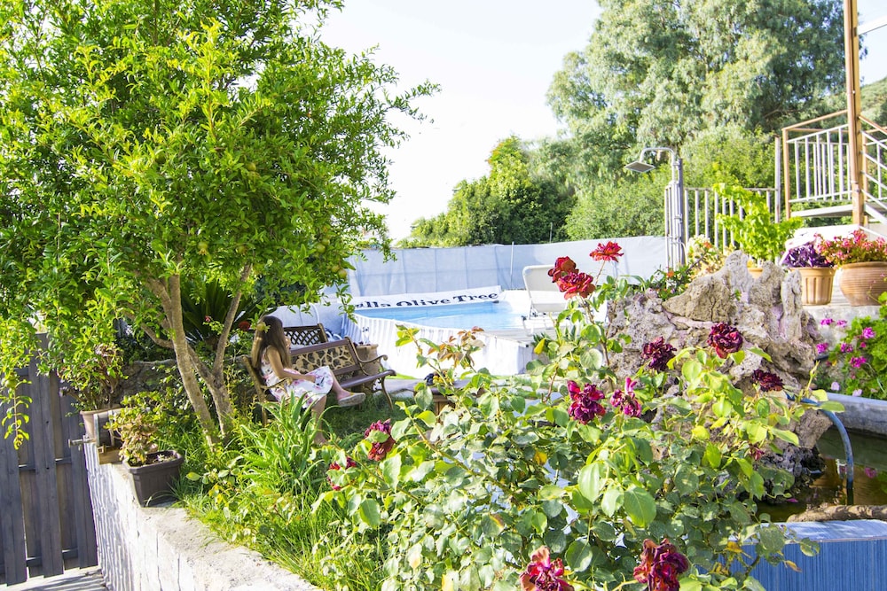 Villa Olive Tree