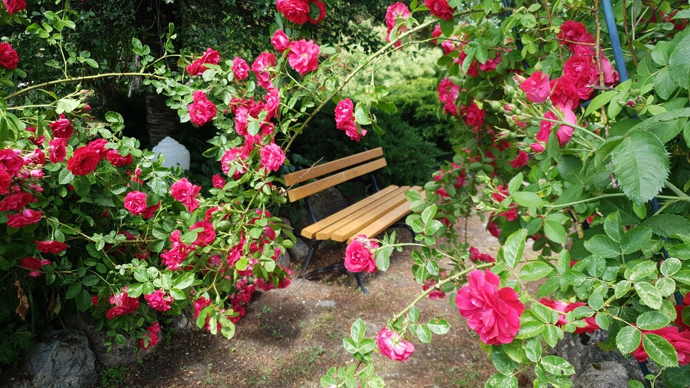 Photo 22