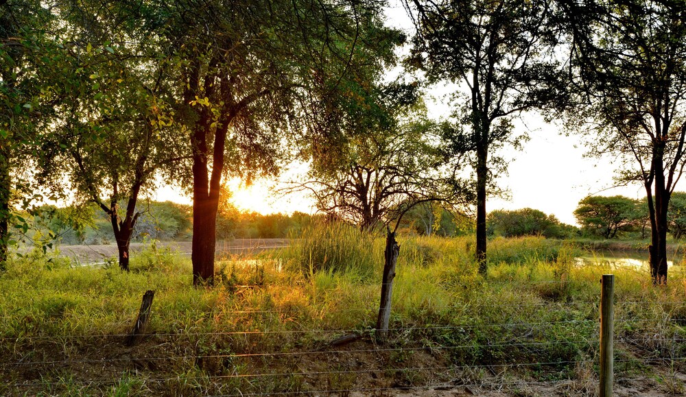 Black Rhino Game Lodge