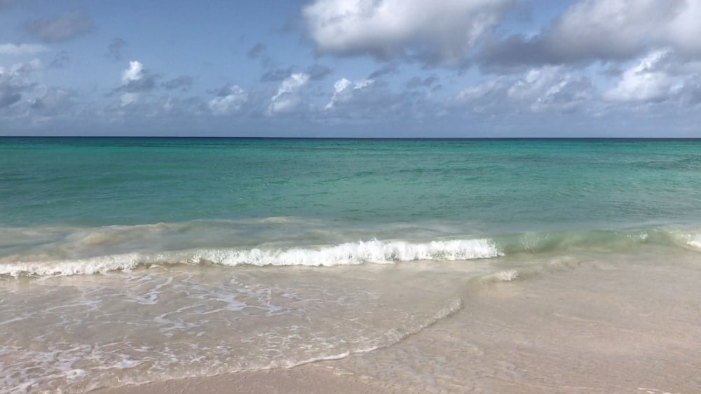 Maxwell Beach Apartment