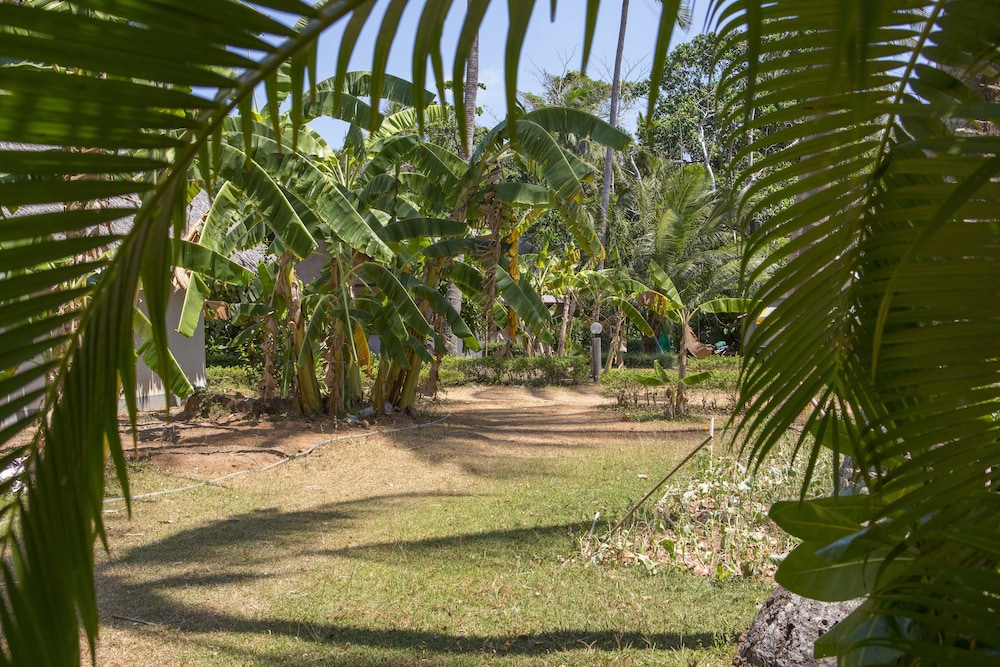 Lanta Coral Beach Resort