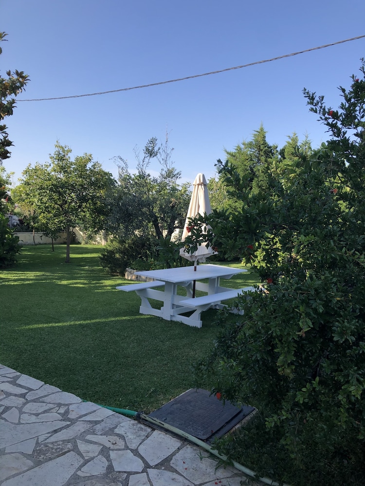 Photo 41