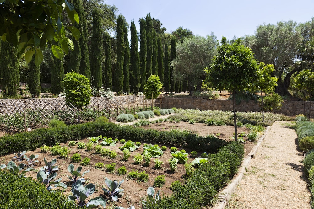 Domaine Les Mésanges