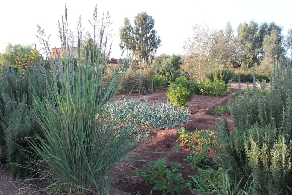 Photo 29