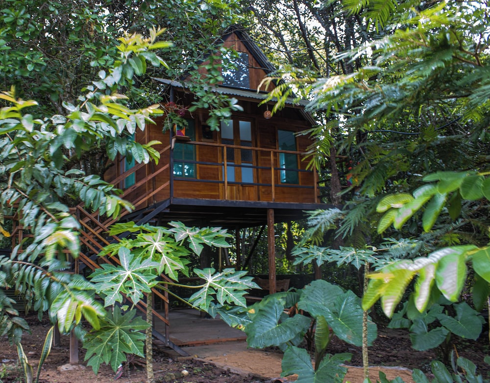 Hostal Caño Nevera