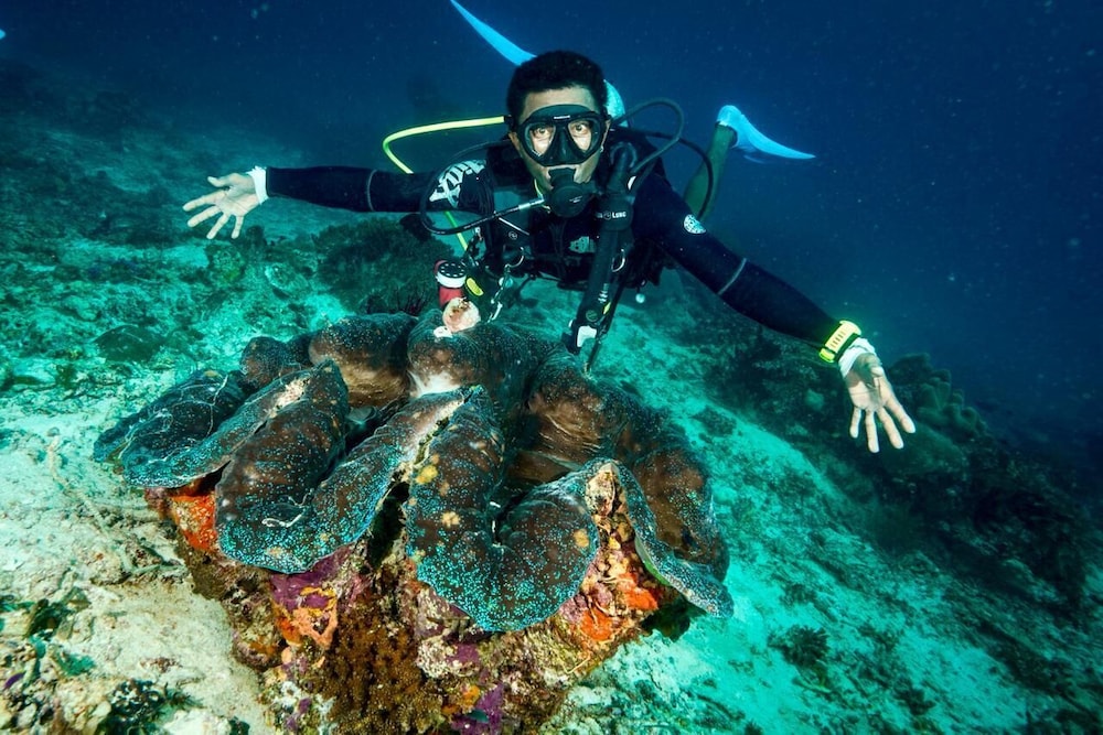 ANDAU DIVE RESORT - RAJA AMPAT