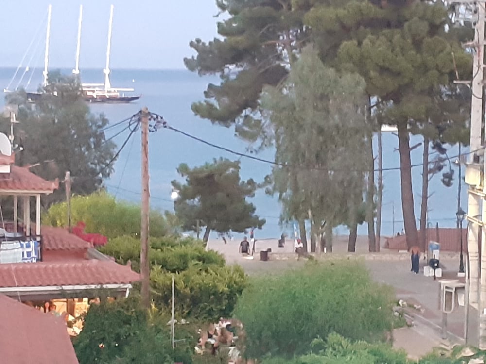 Mandola Del Mare