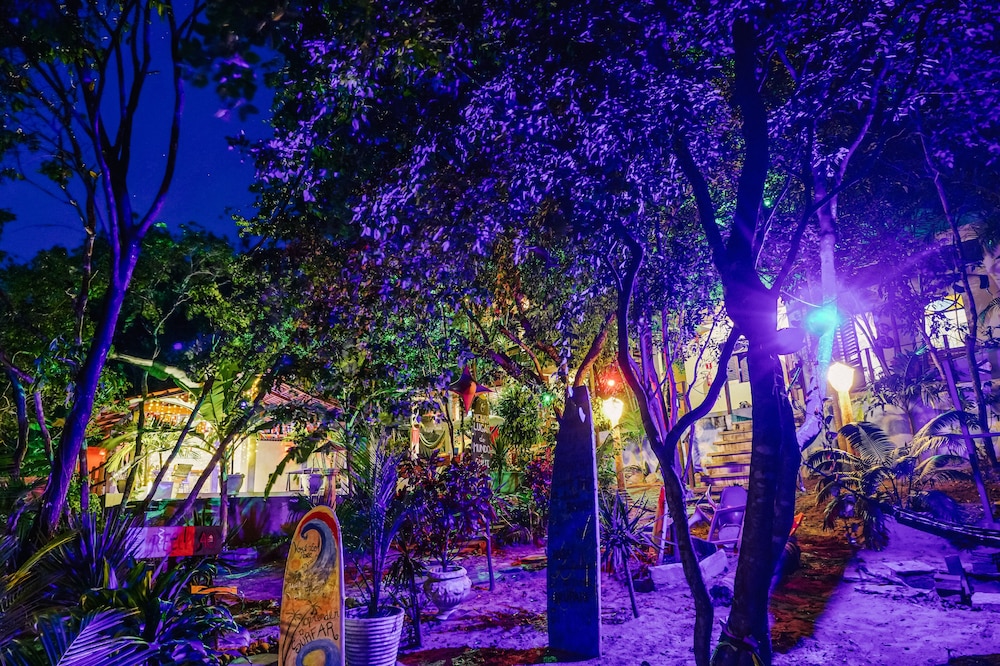 Macaco Surf House - Hostel