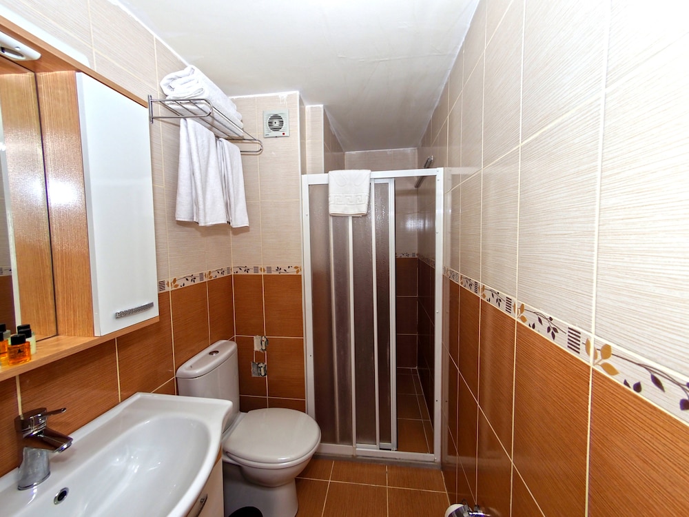 Le Safran Palace - Image 15