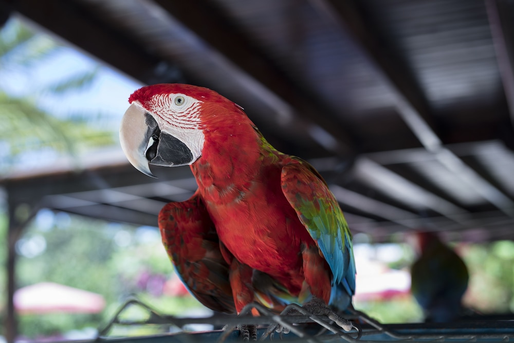 Hotel Karia Princess - Image 17