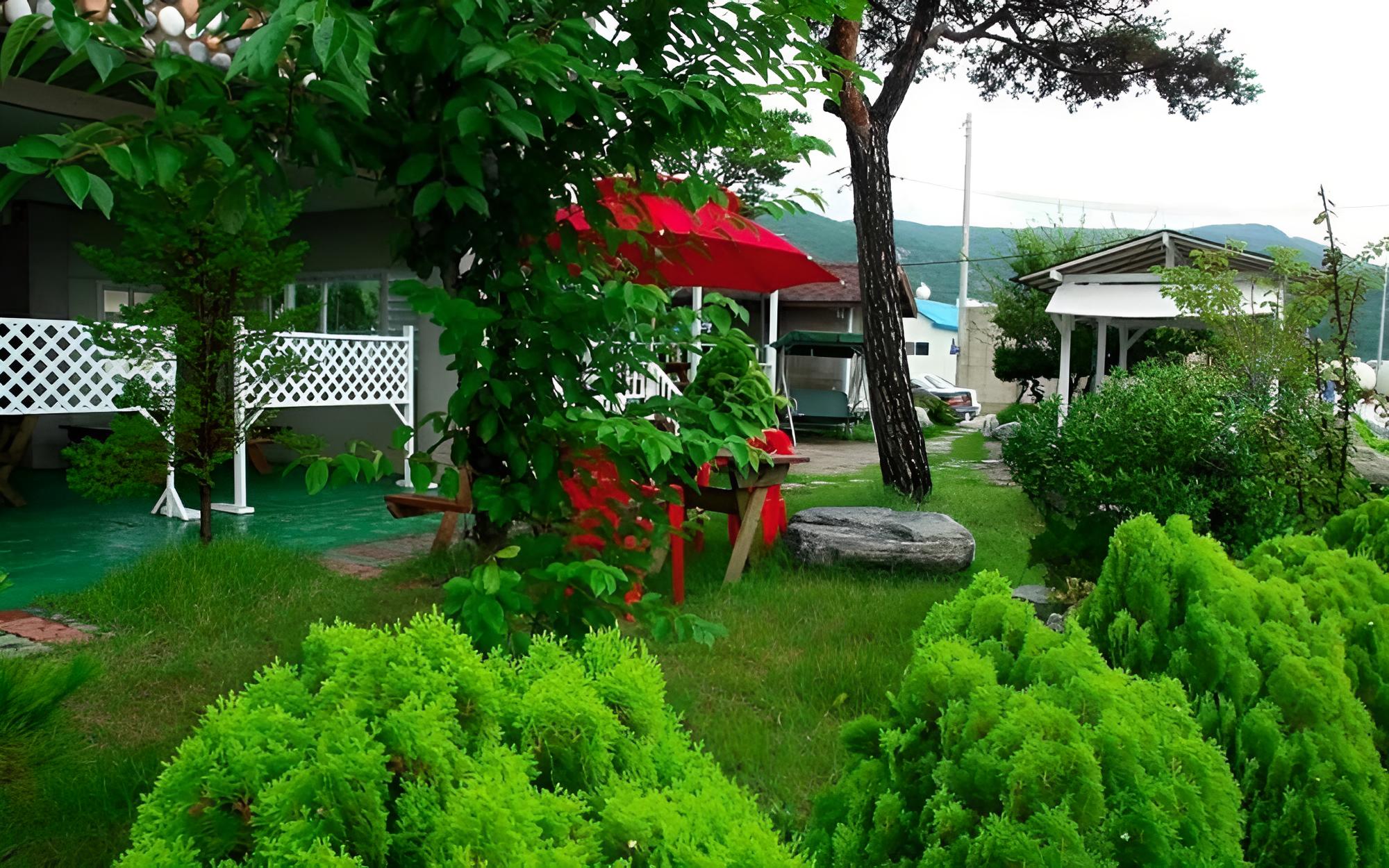 Photo 41