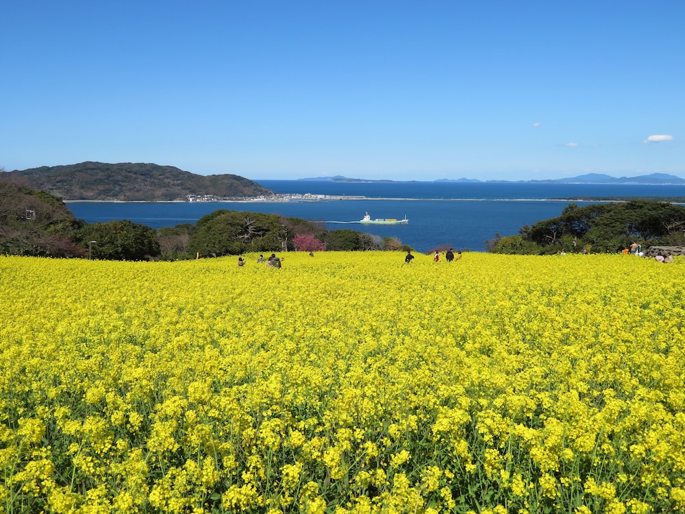 Nokonoshima Island Park Villa Sakimori